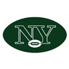 National Football League logo quiz - questions and answers